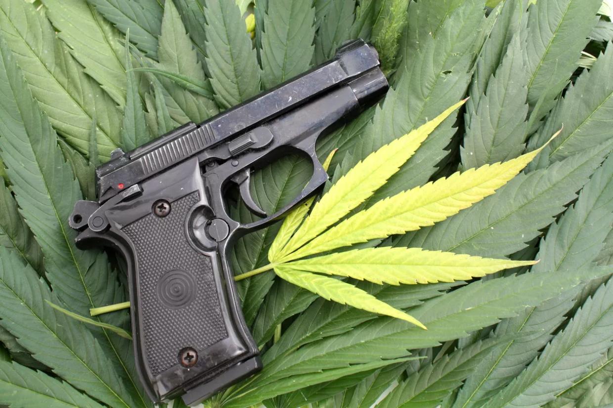 Reader: MMJ Patients Want Conceal-Carry Permits? Are They High?