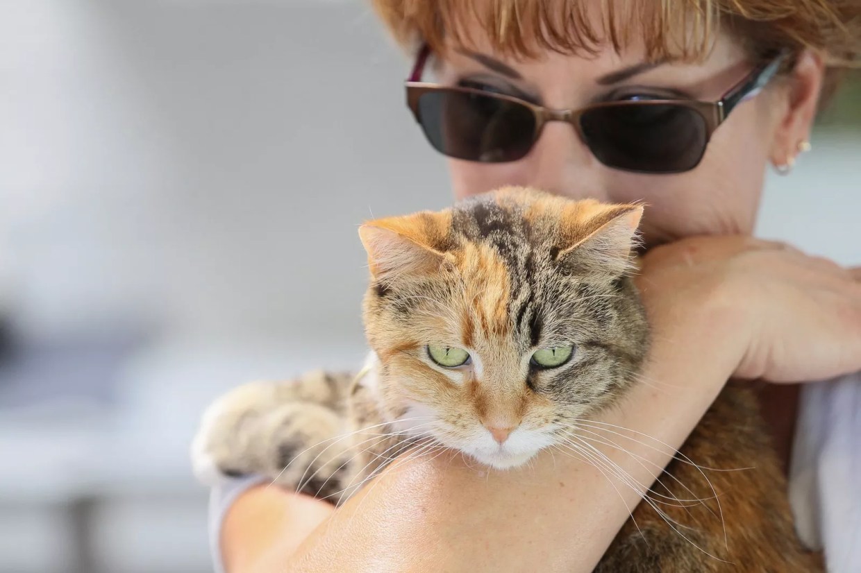 The 21 Best Things to Do in Denver, March 5 Through March 11