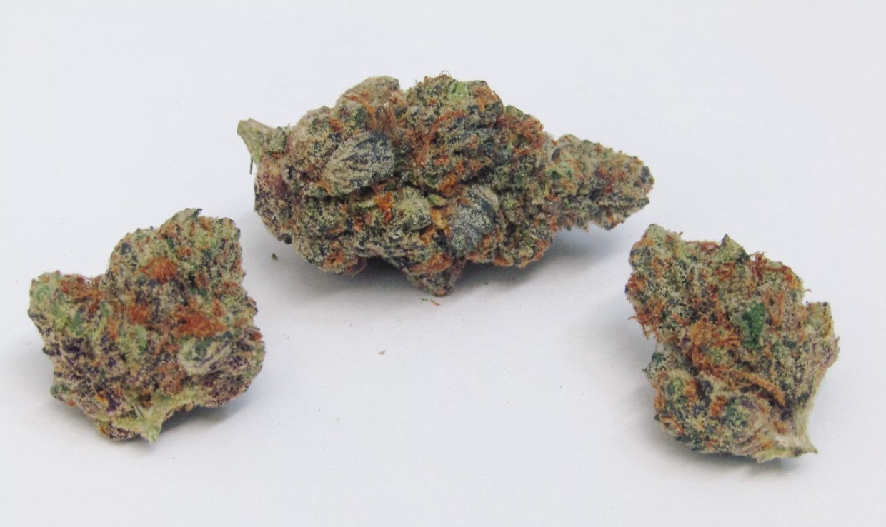 Why Colorado Tokers Love Scooby Snacks