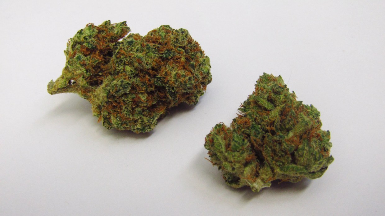 Why Colorado Tokers Love Super Sour Lemon