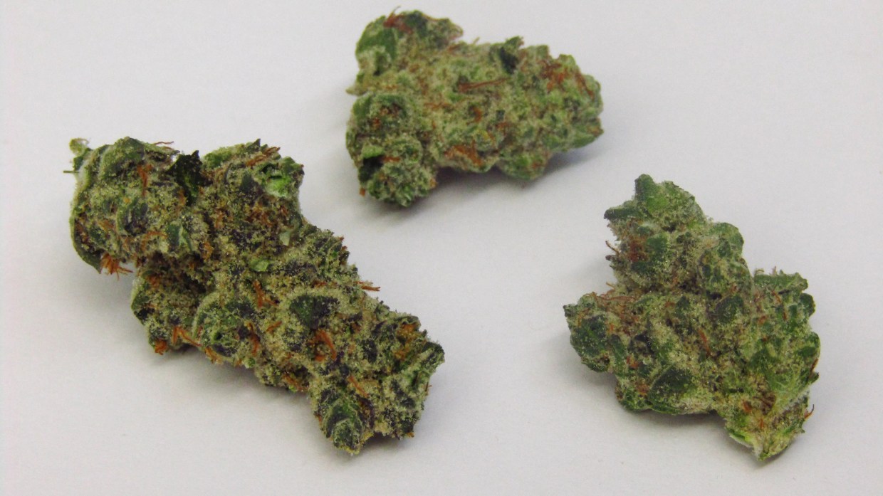 Why Colorado Tokers Love GMO