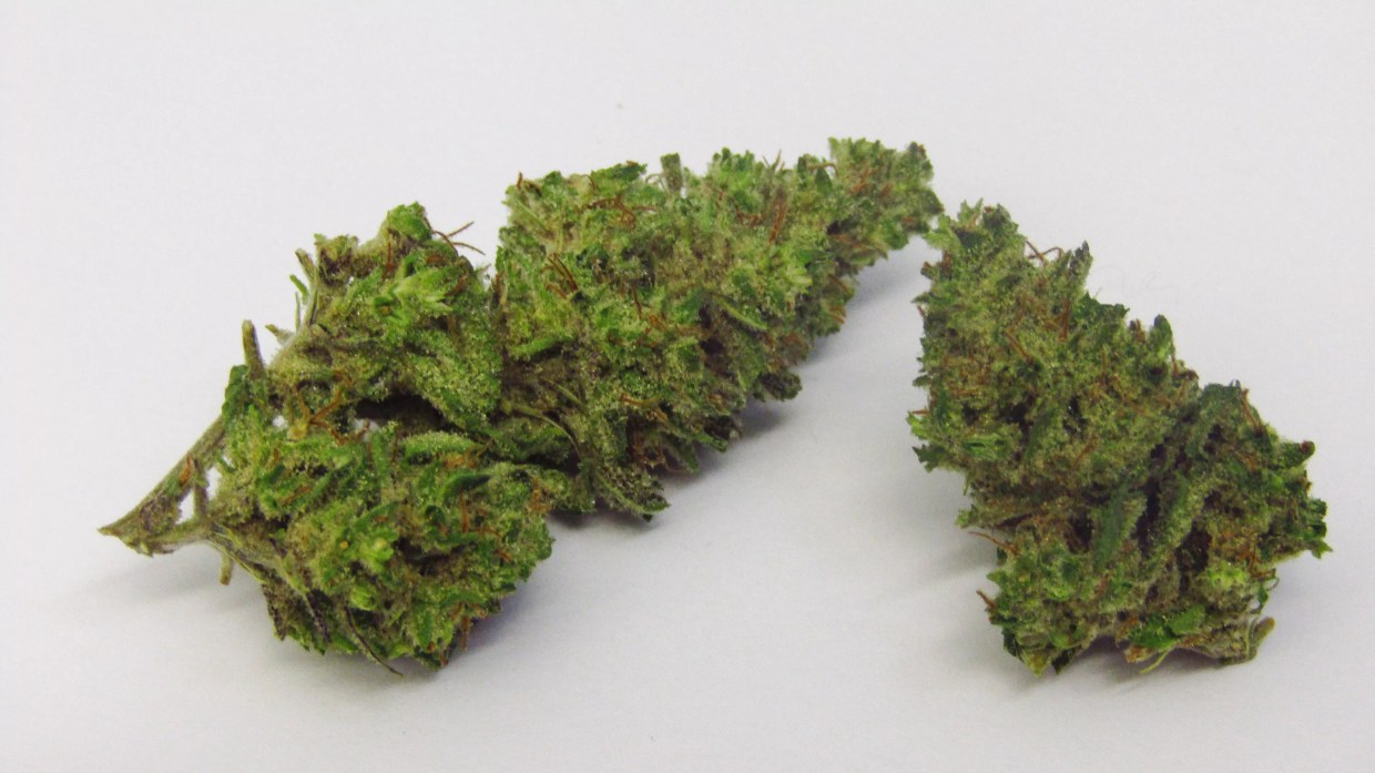 Why Colorado Tokers Love Tutankhamon