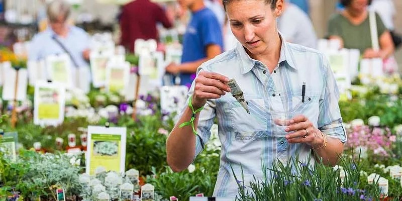 Ten Things to Do for $10 or Less (Seven Free) This Weekend