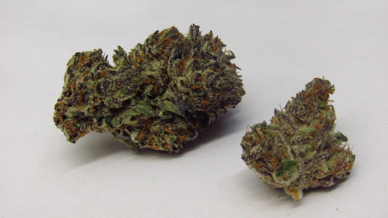 Why Colorado Tokers Love Sage N Sour