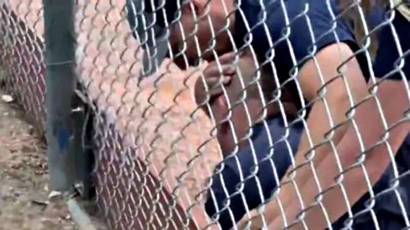 Baseball Brawl Fallout: Five Citations, Canceled Games, National Shame