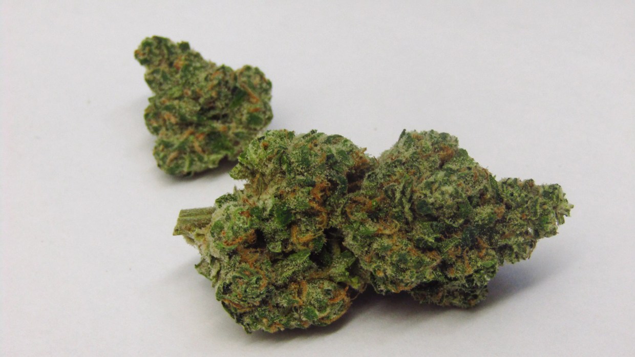 Why Colorado Tokers Love Sueño