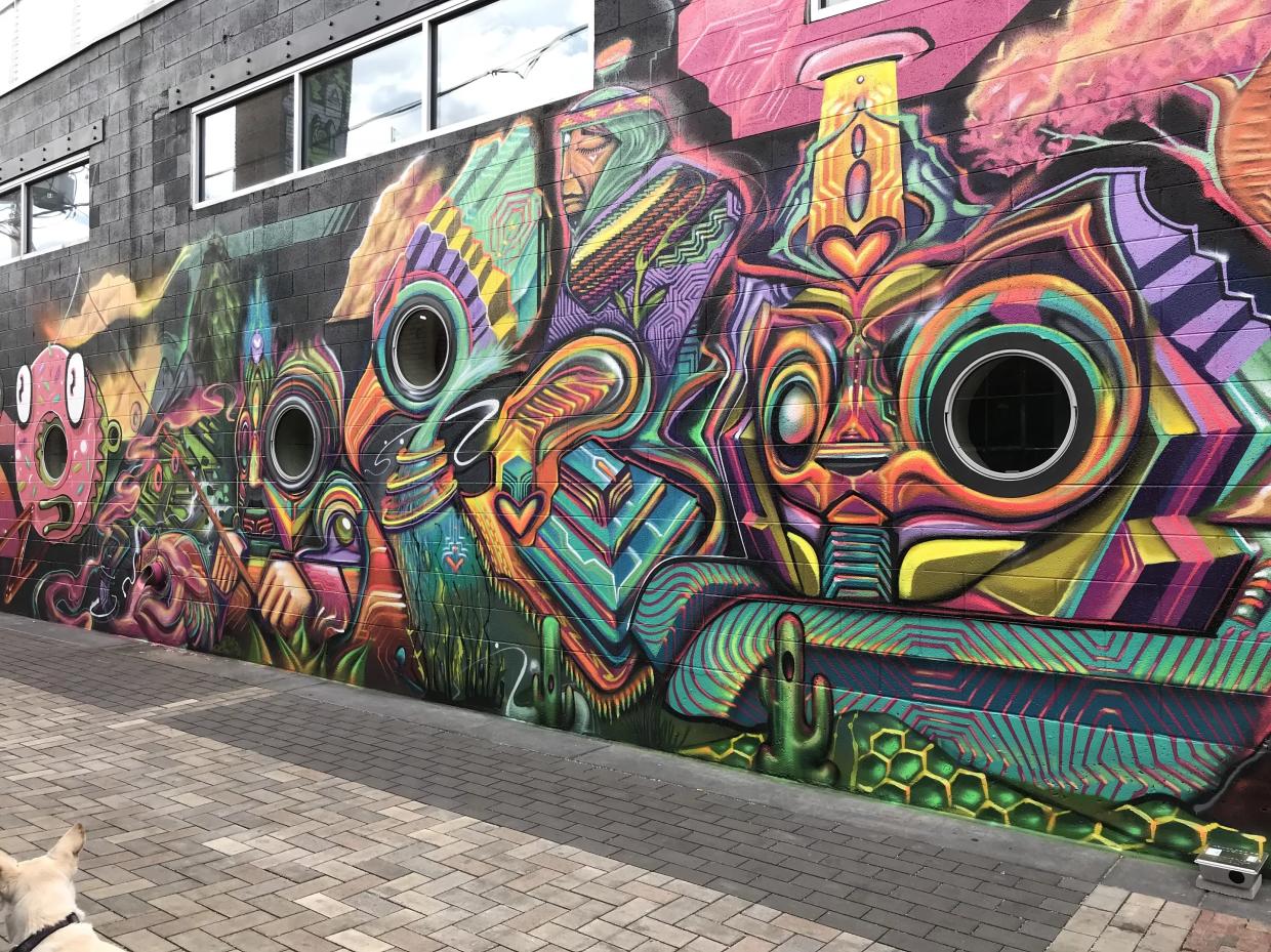 Crush Walls 2019: Eighteen Can’t-Miss Stops