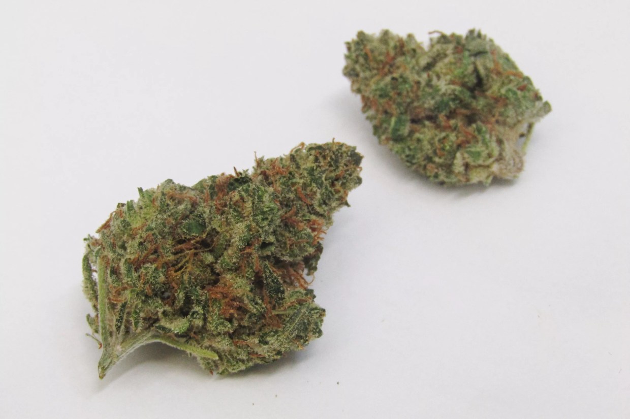 Why Colorado Tokers Love Citral Glue