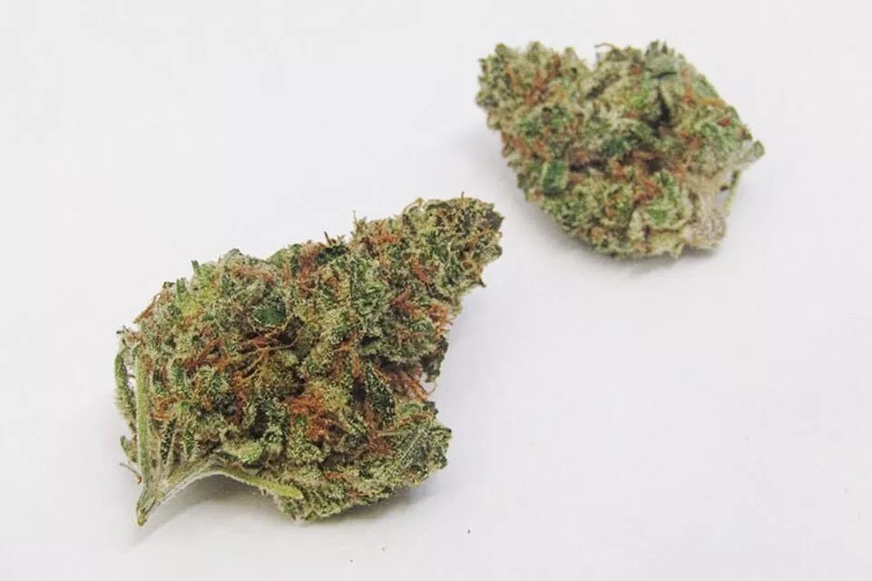 Why Colorado Tokers Love Cashmere