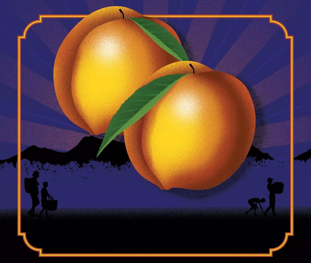 The Peaches Are Local. The Pickers Are Not.