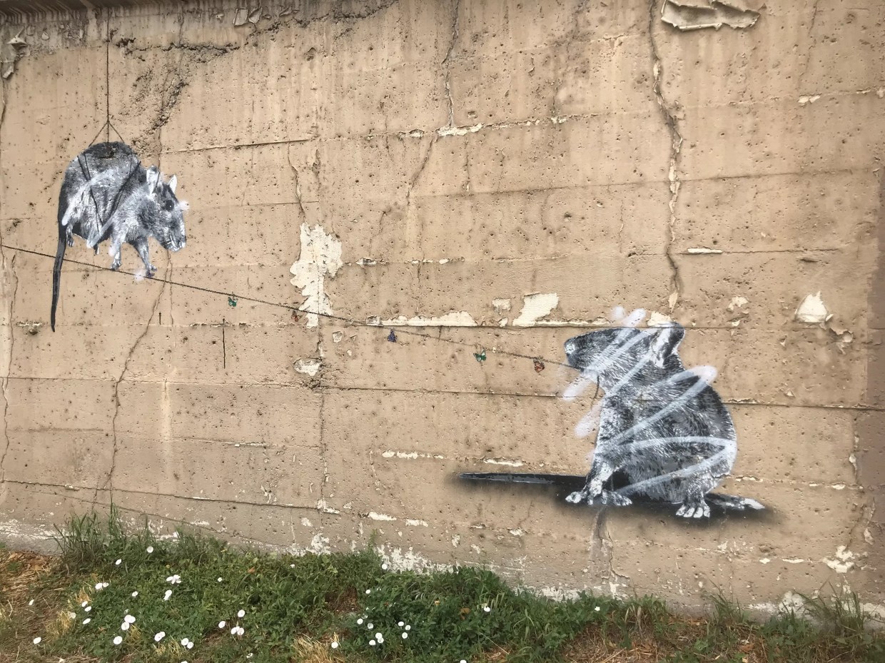 Denver Public Art Website Is Needed but Somewhat Clunky