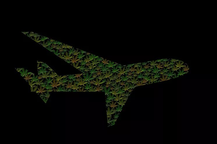 Reader: Traveling With Pot? TSA Doesn’t Give a F***