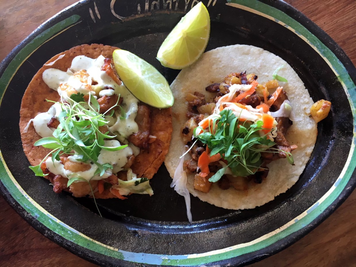 Cilantro Raises the Bar for Mexican Restaurants on Federal Boulevard