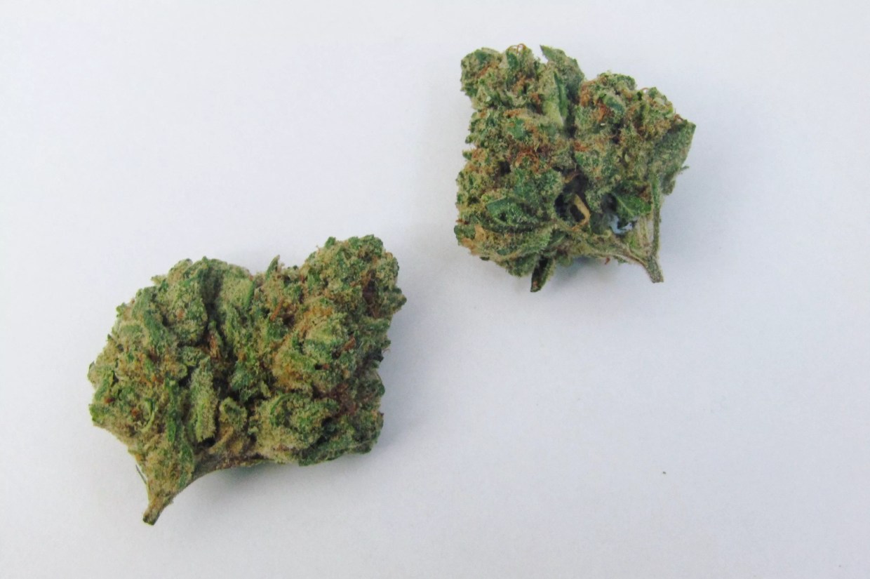 Why Colorado Tokers Love Kosher Dawg