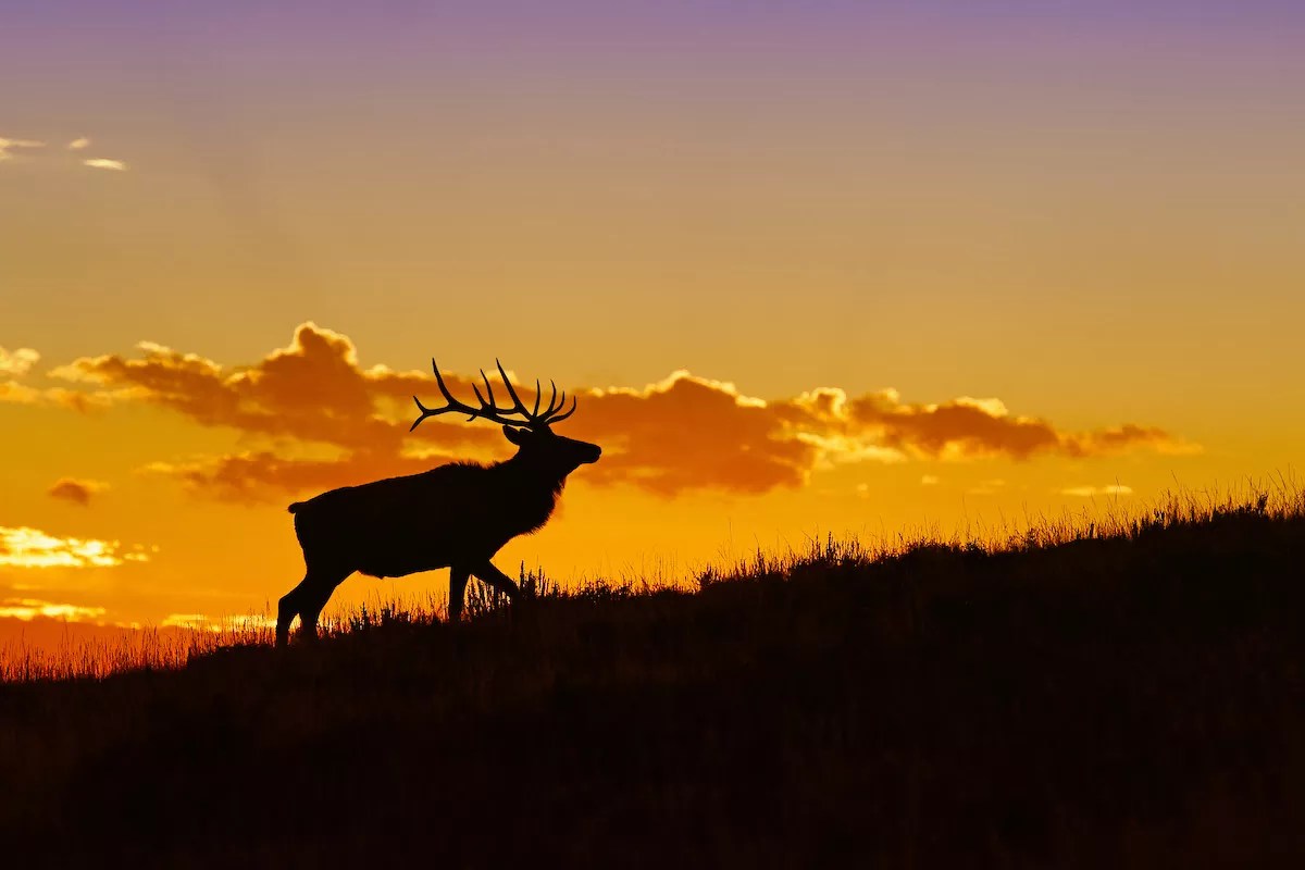 Five Things to Do for Free This Weekend in Denver