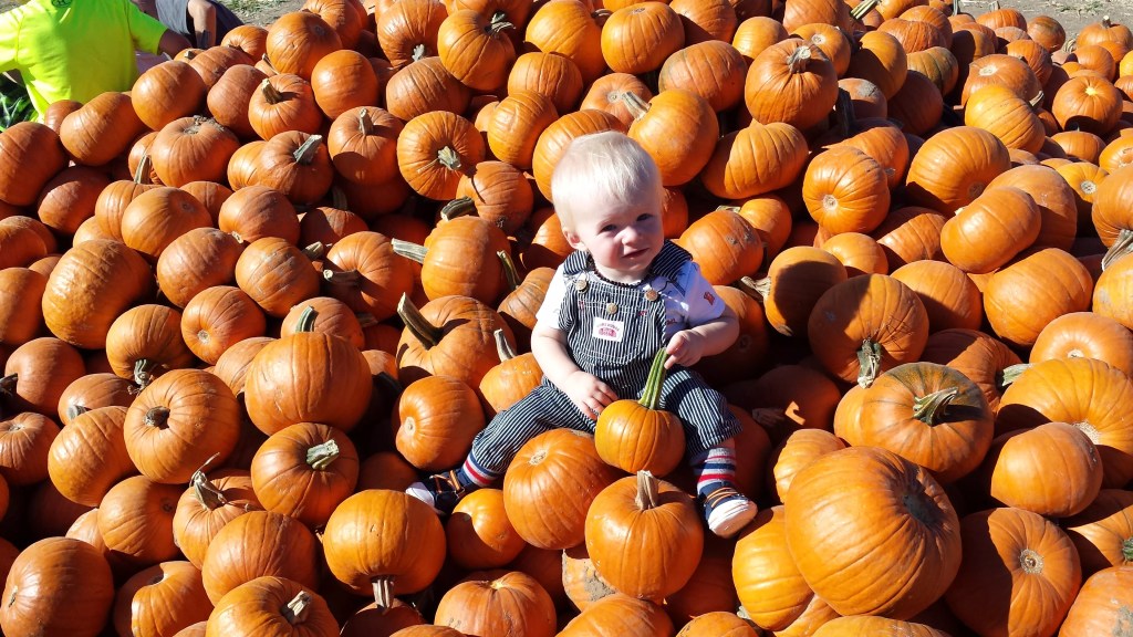 A boy sits in a pile of pumpkins