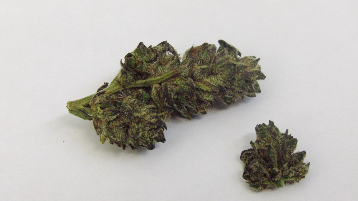 Why Colorado Tokers Love Pie Face