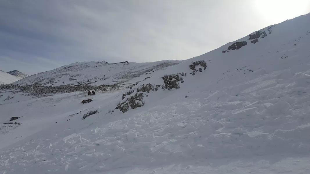 One Week, 185 Avalanches: How to Stay Safe in Colorado’s High Country