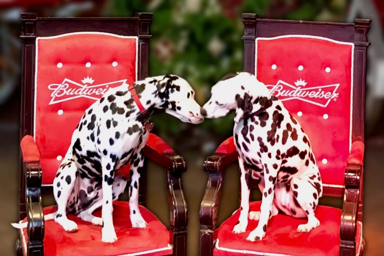 Five Things to Do for Free In and Around Denver This Weekend