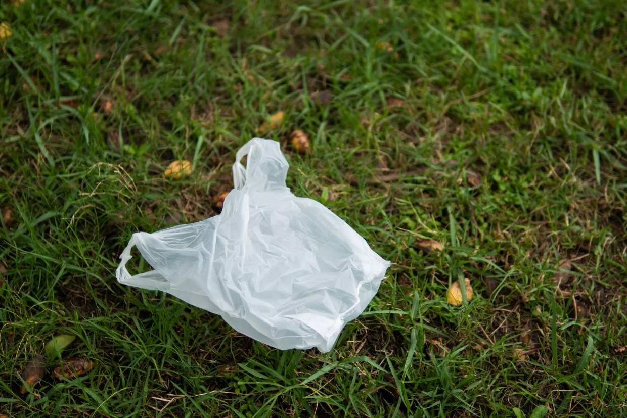 Denver City Council Poised to Enact Ten-Cent Plastic, Paper Bag Fee
