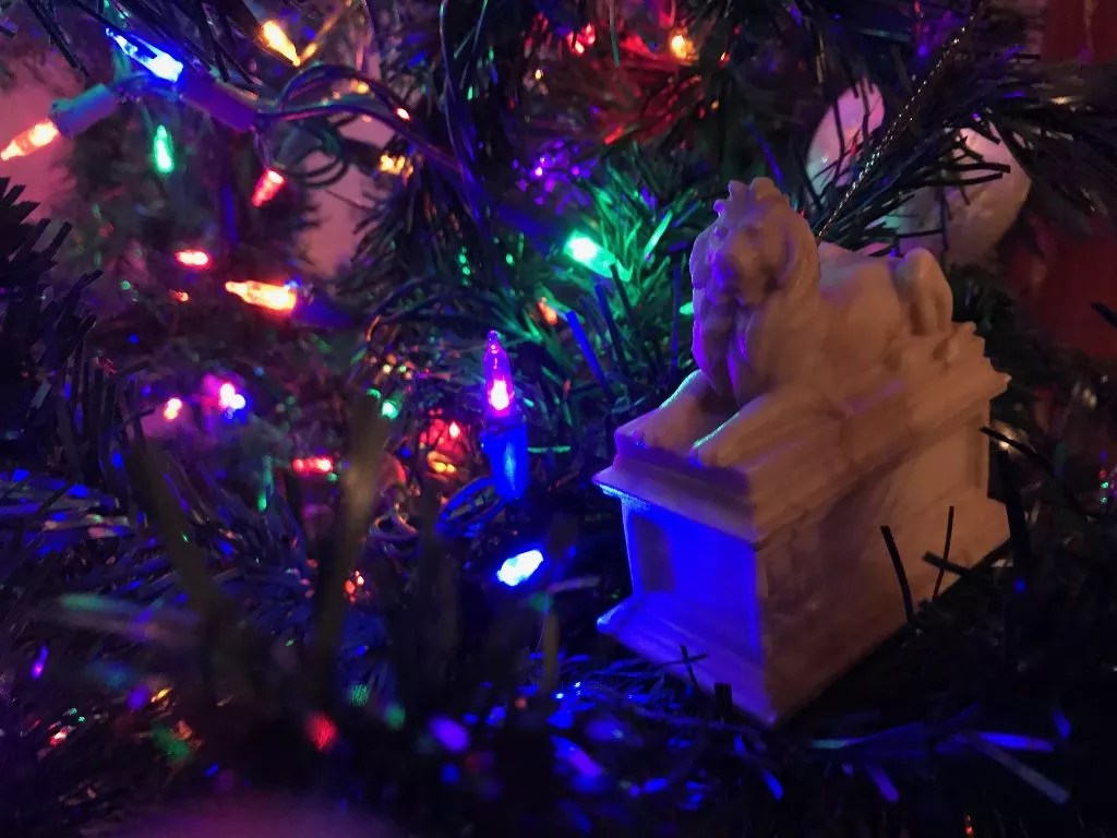 Is It Open? Buy Your Last-Minute Gifts at These Denver Bookstores