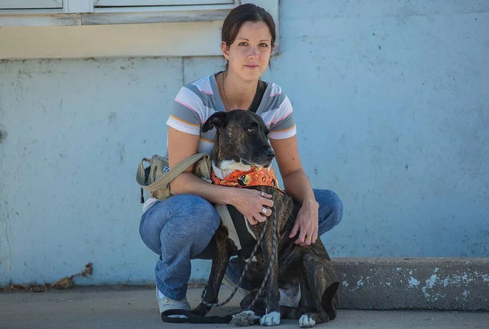 Reader: Discrimination by Breed Is Poor Policy, Mayor Hancock