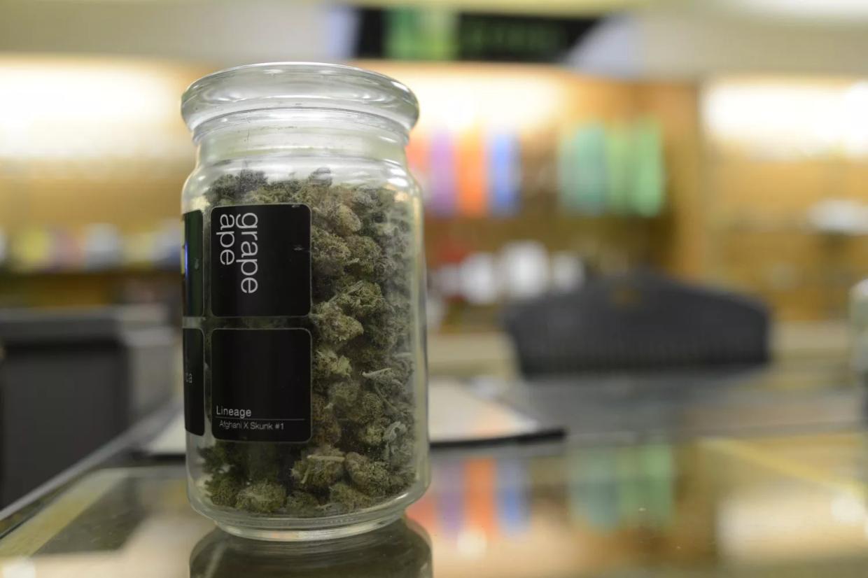 Colorado Dispensaries Sold More Pot in 2019 Than We Predicted