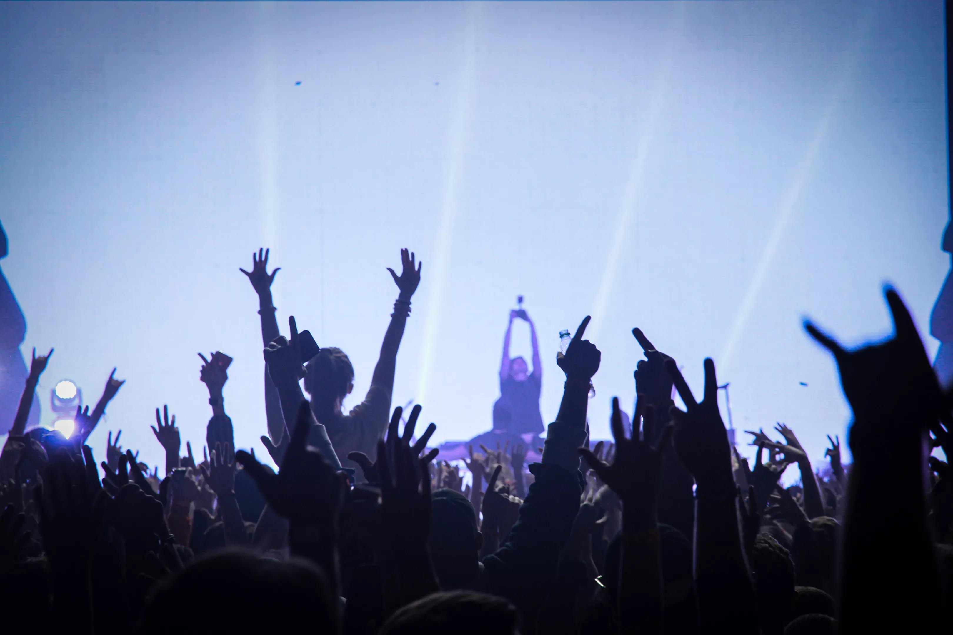 fans in a music venue