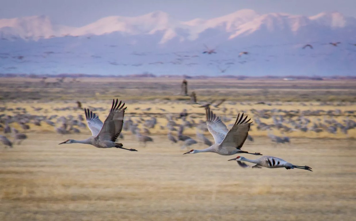 Five Things to Do for Free This Weekend