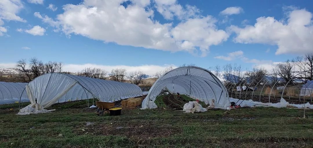 Without Restaurants or Markets, Farms Need Customers, Too