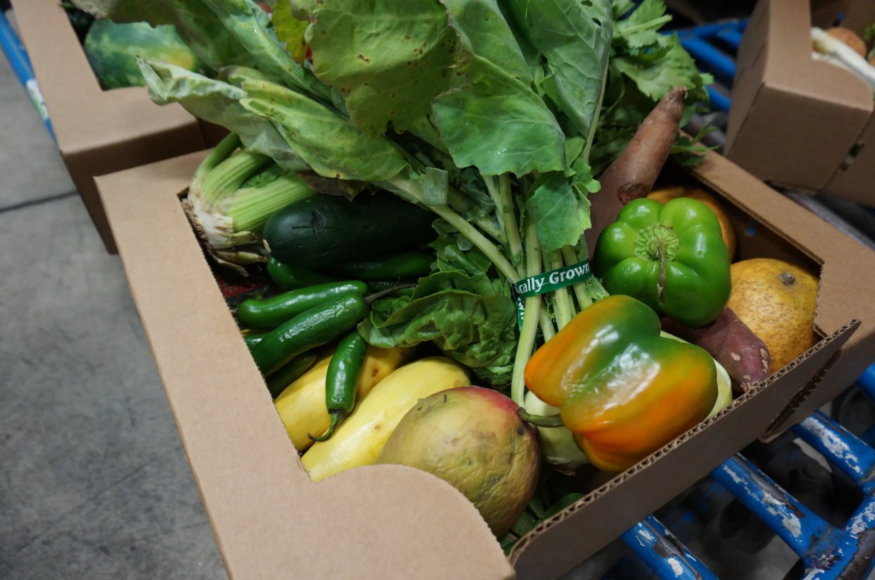 Where to Donate Your Perishable Food in Denver