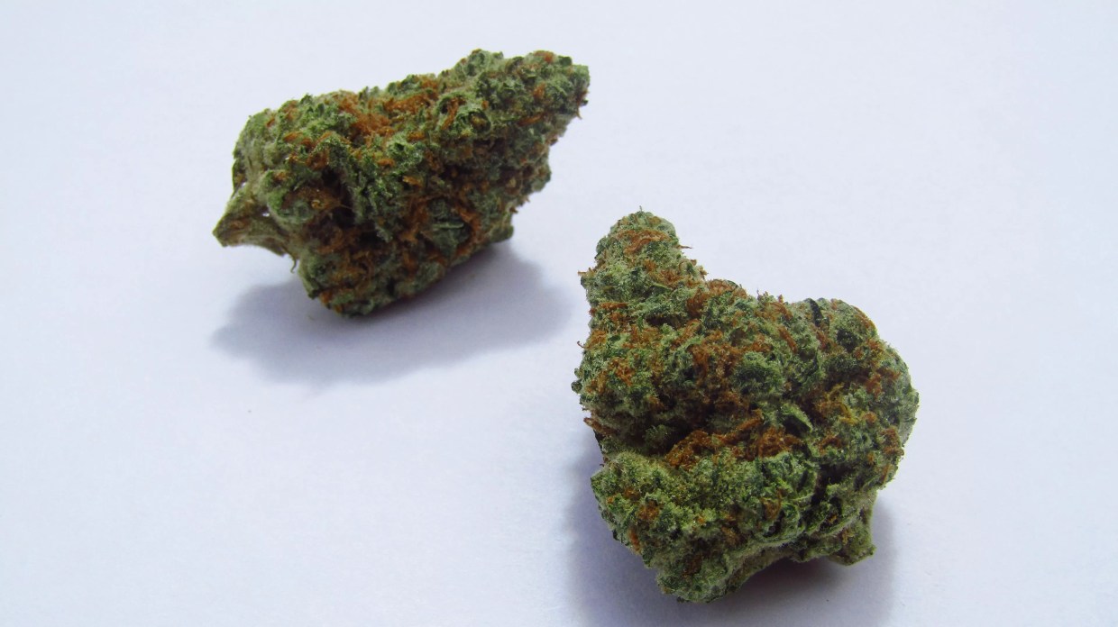 Why Colorado Tokers Love Castaway