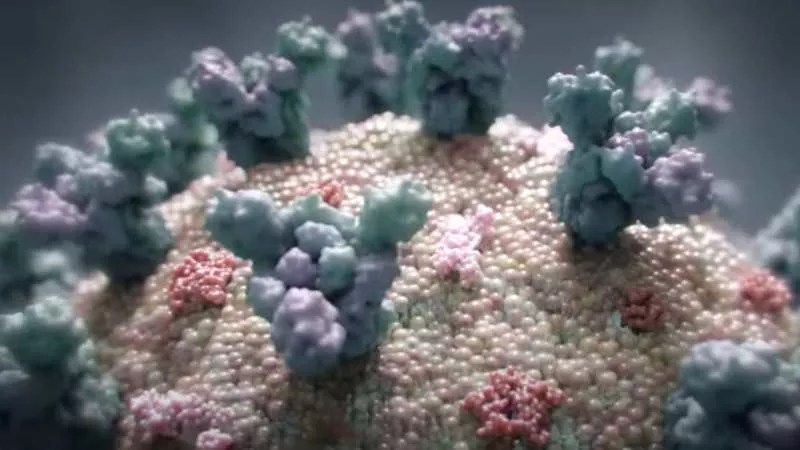 COVID-19 Colorado: Risks of Second Wave After Stay-at-Home Order Ends