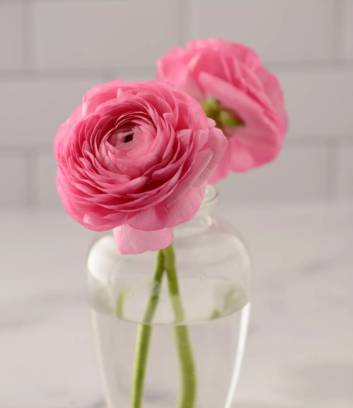 Take It Slow: It’s Time to Stop and Smell the Roses