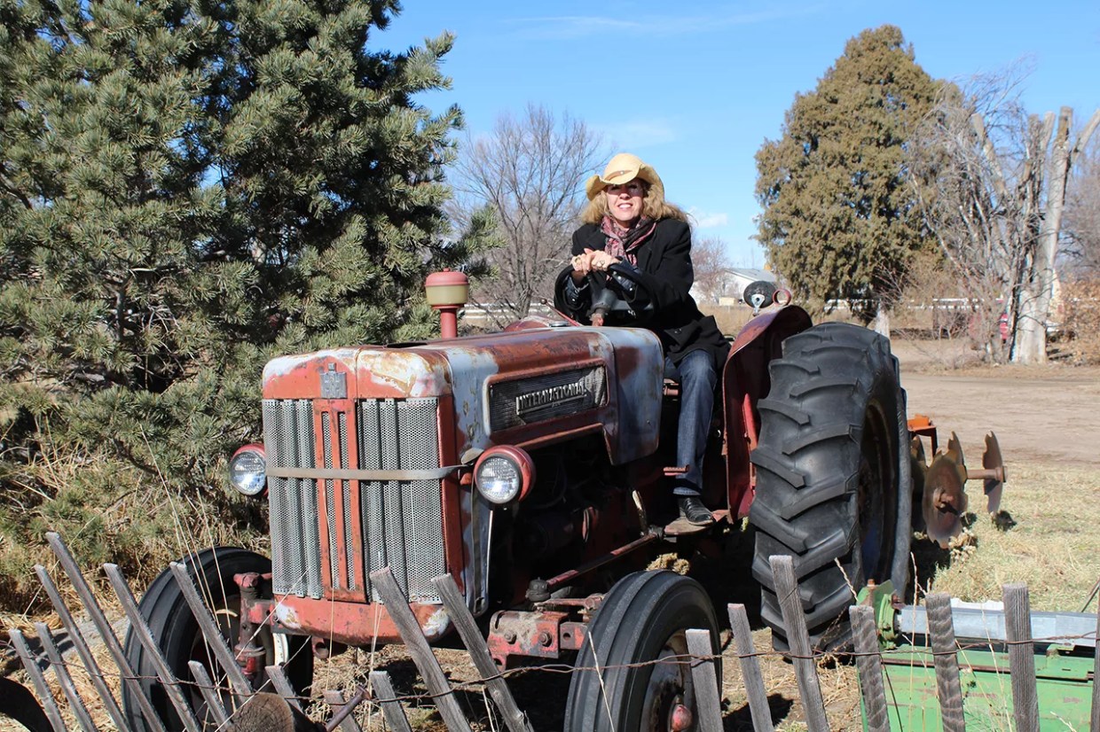 Take It Slow When You Plant a Cut-Flower Garden