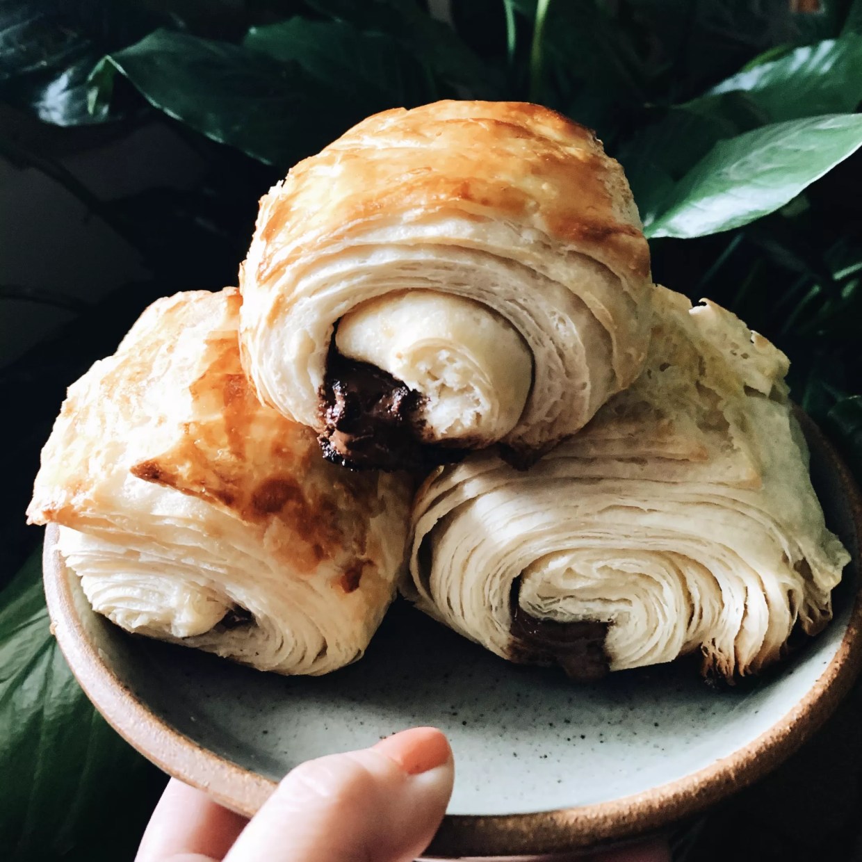 Home Cooks Share Their Quarantine Cooking Successes and Failures