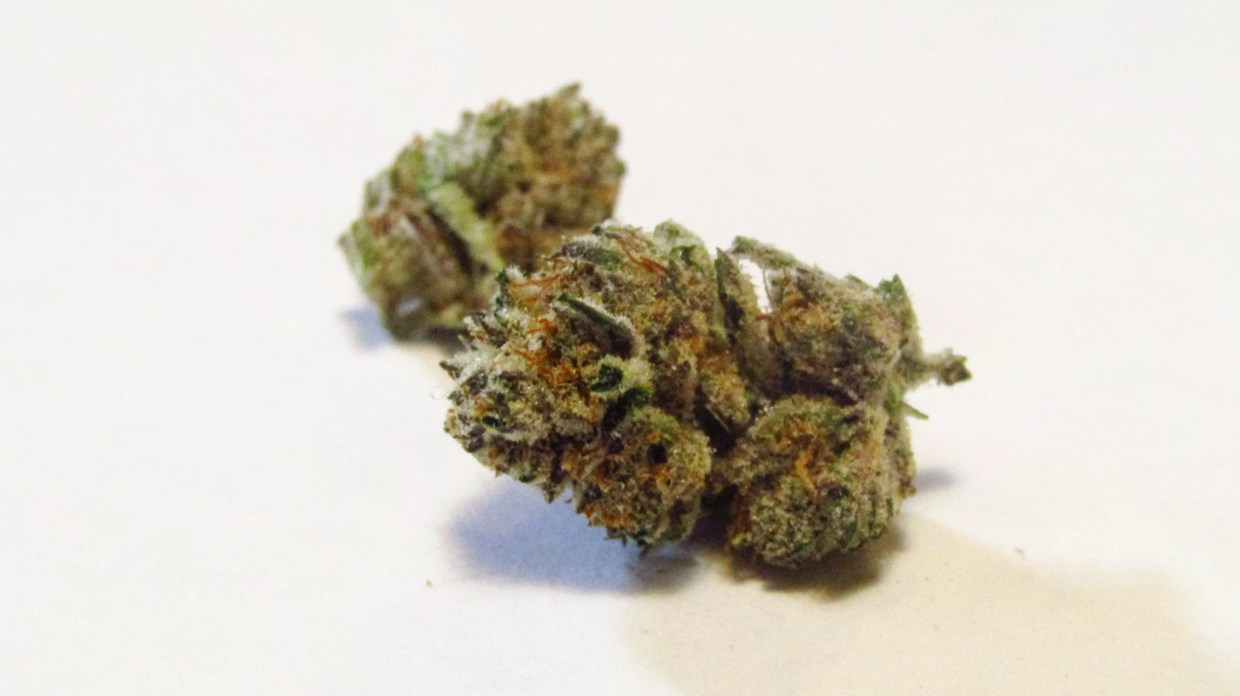 Why Colorado Tokers Love Mind Eraser