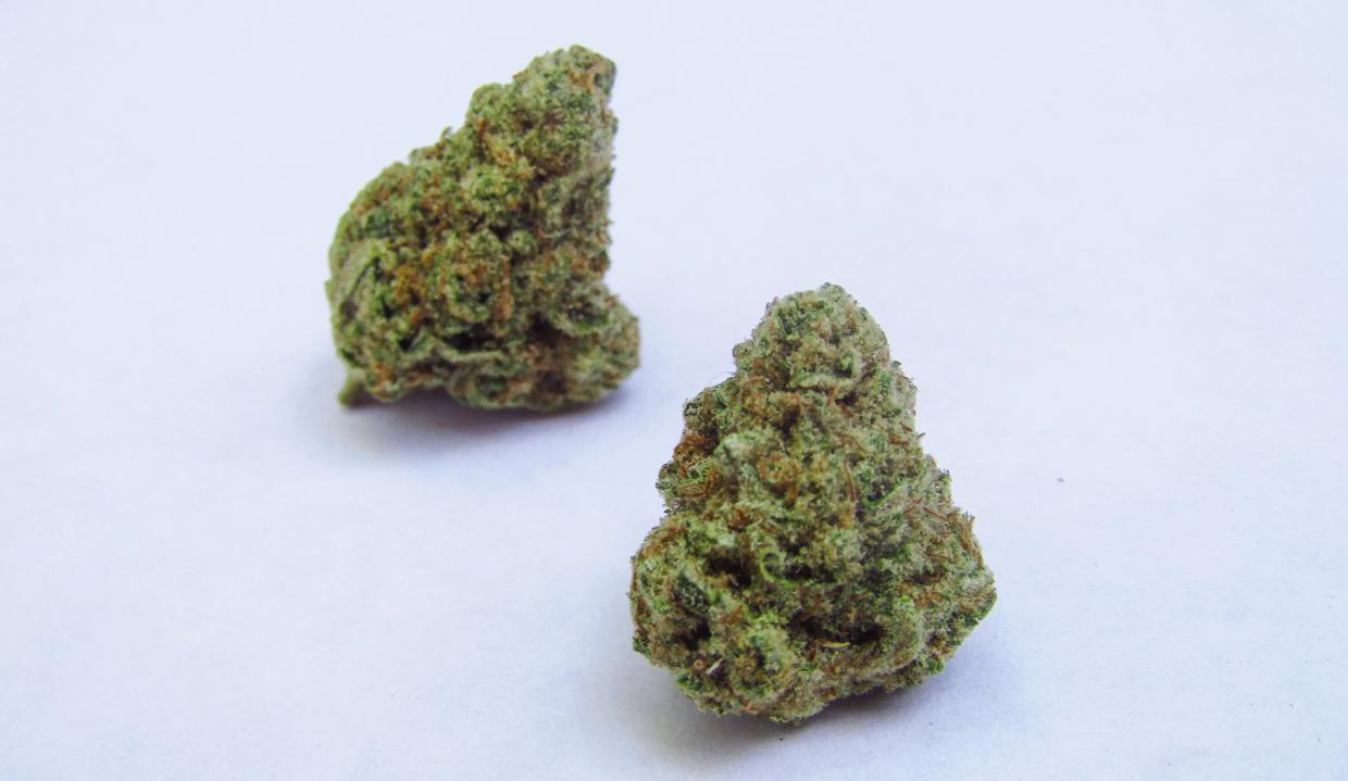 Why Colorado Tokers Love Mac and Cheese