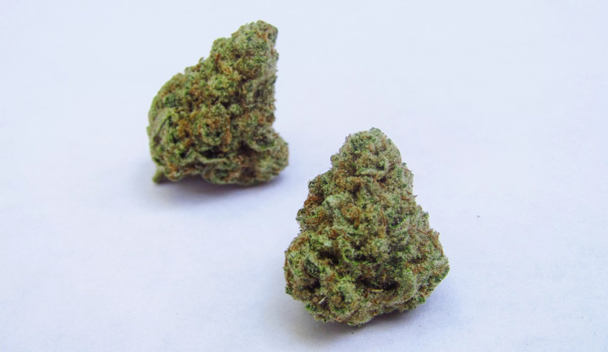 Why Colorado Tokers Love Mac and Cheese