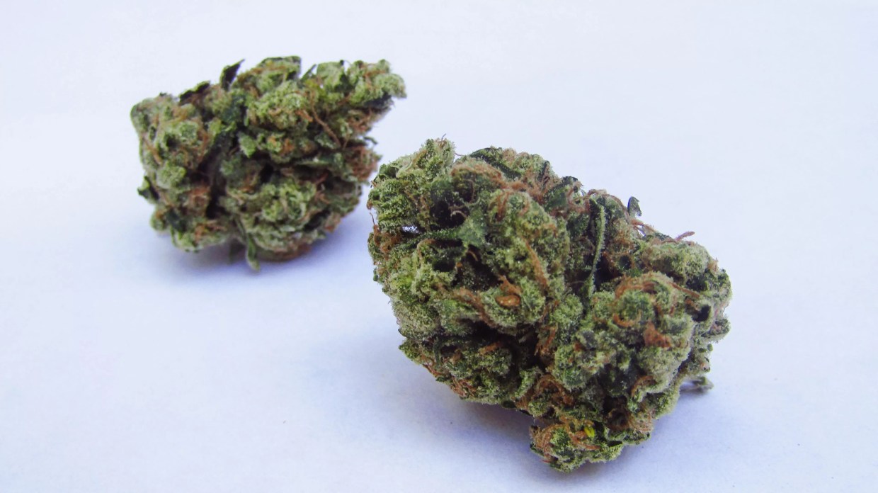 Why Colorado Tokers Love Gary Payton