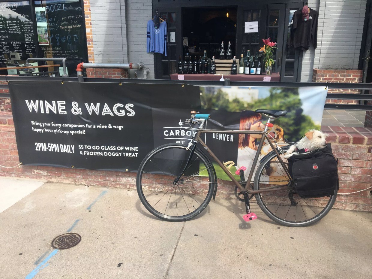 Happy Hour for You and Your Dog From Carboy Winery