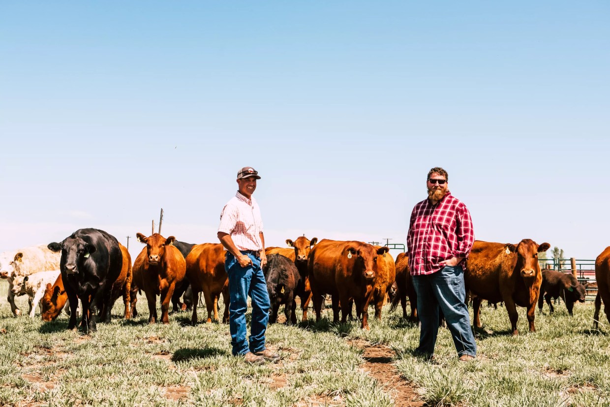 River Bear American Meats Gets Beefy