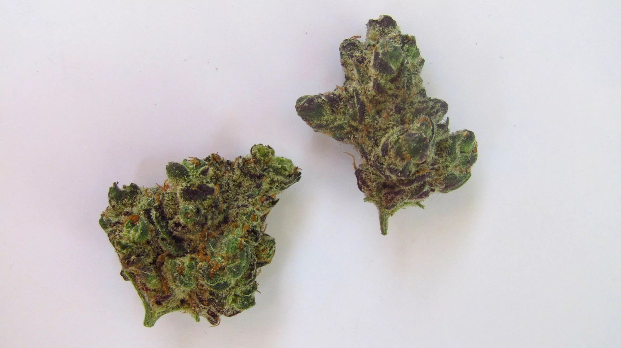 Why Colorado Tokers Love Banana Split