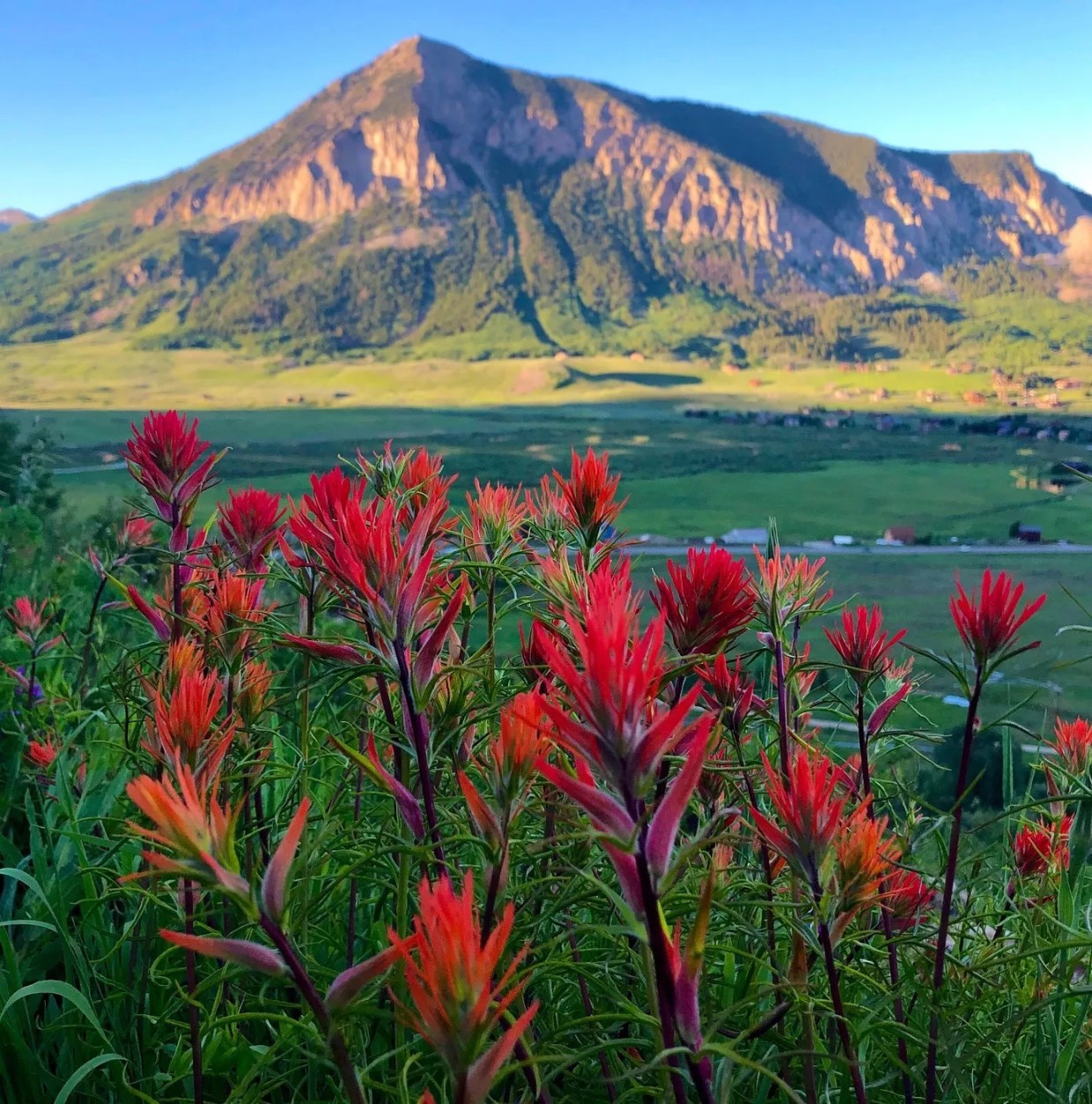 Five Things to Do in Denver When It’s (Almost) Dead