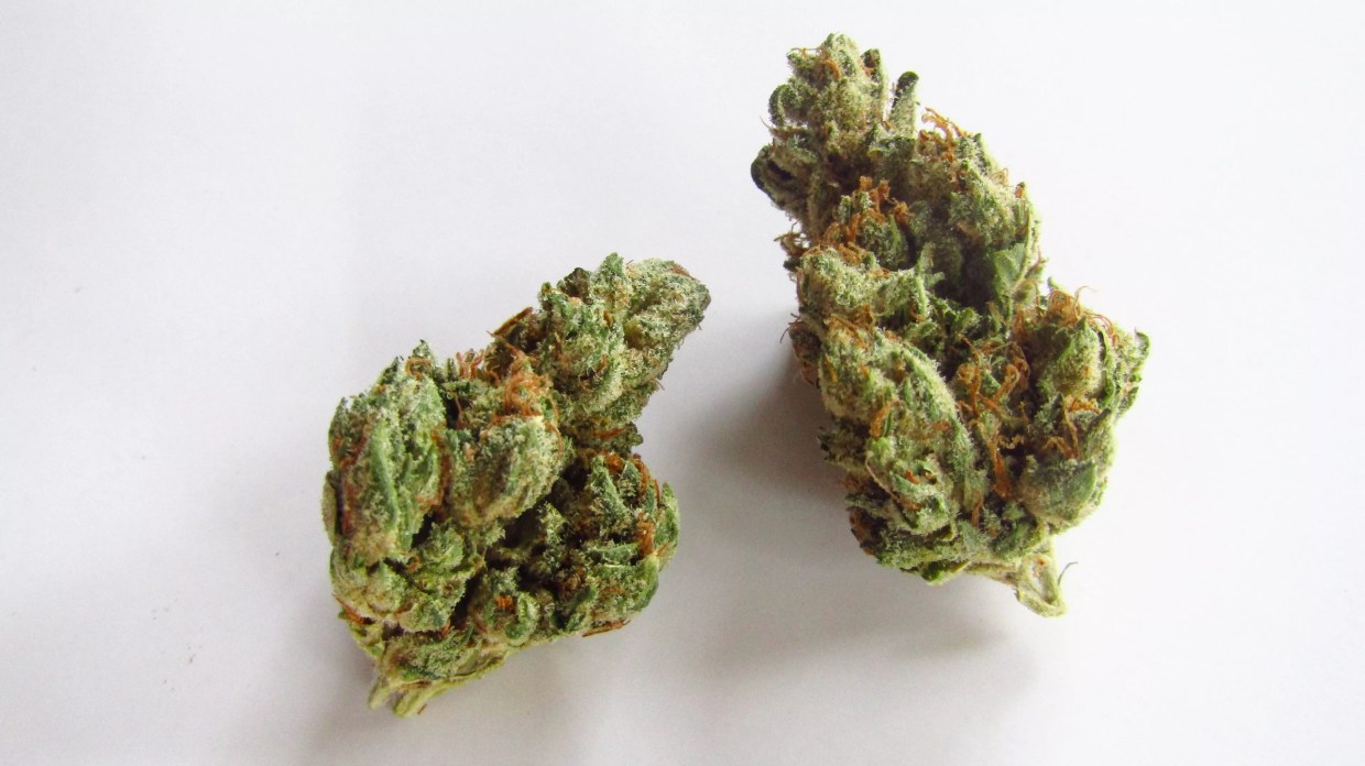 Why Colorado Tokers Love I-95