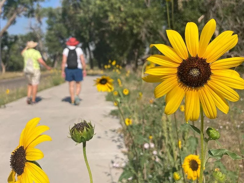 Eight Things to Do for Free in Denver This Week