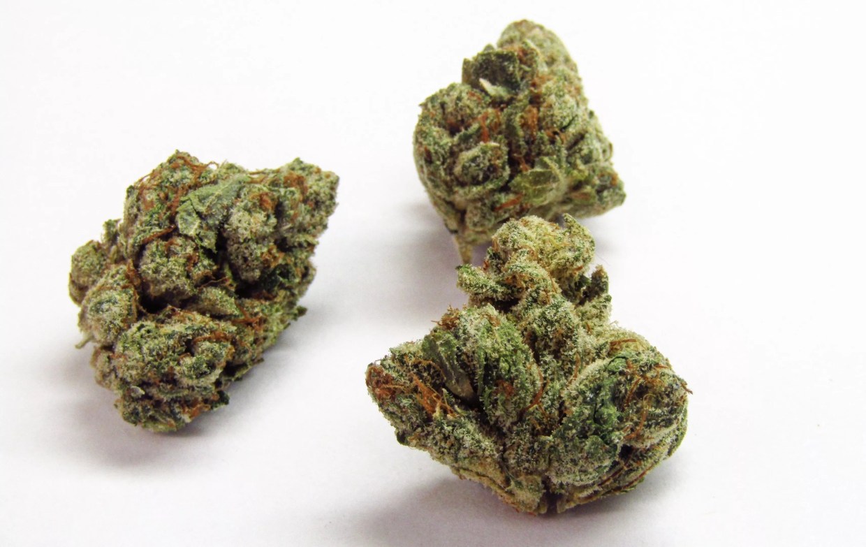 Why Colorado Tokers Love Hardcore OG