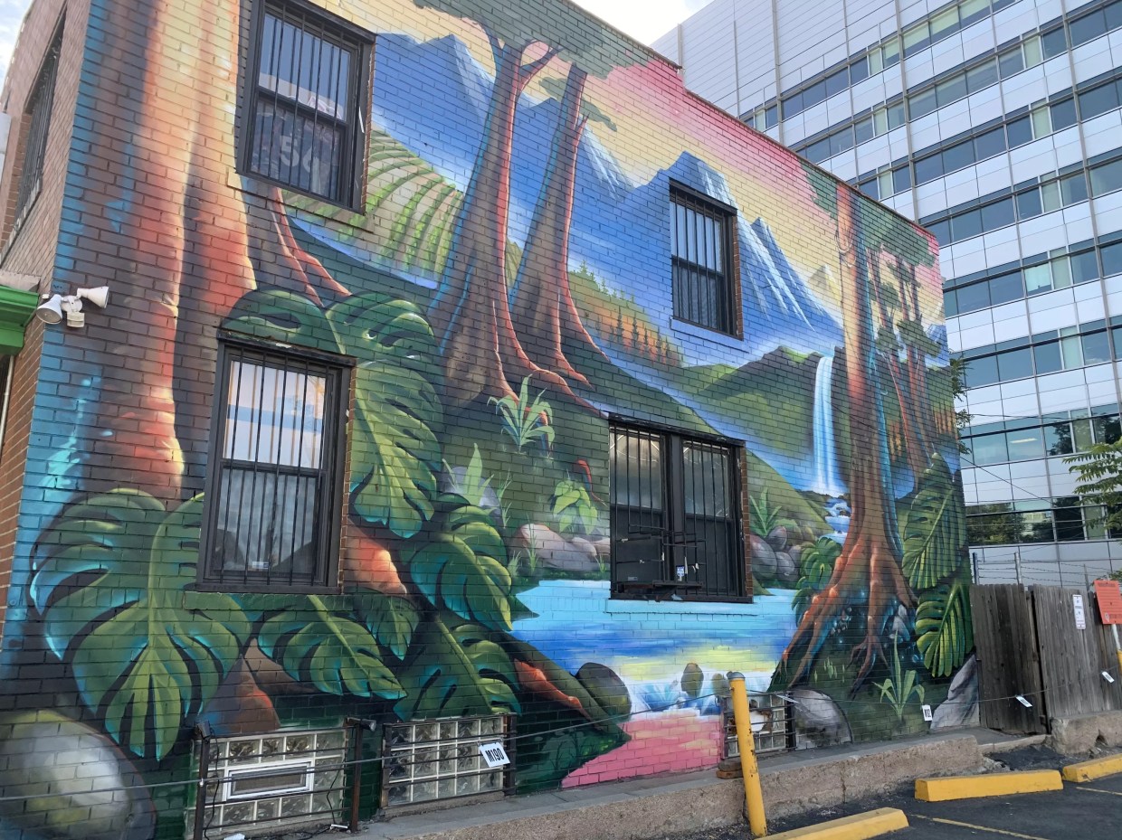 Dispensary Scraps Broncos Super Bowl Mural for Fantasy Landscape