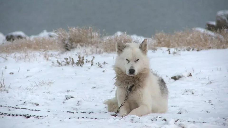 Indigenous Film and Arts Festival Spotlights Native Stories Online