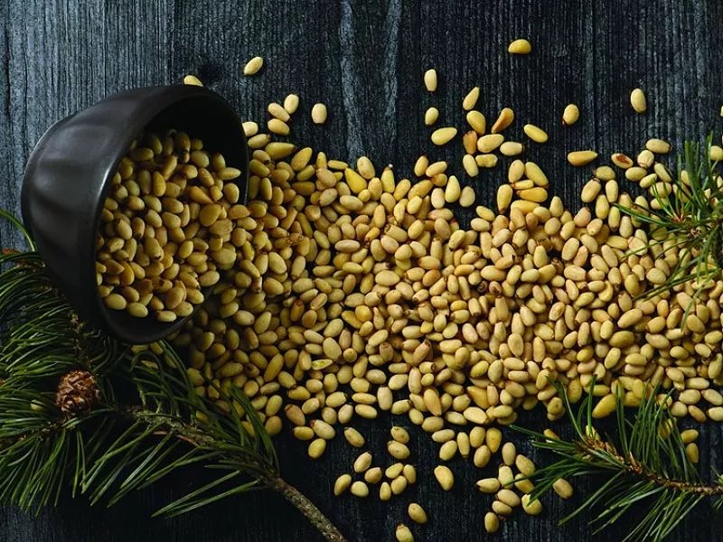 Colorado’s Most Expensive Native Edible Can Be Foraged for Free. Nuts!